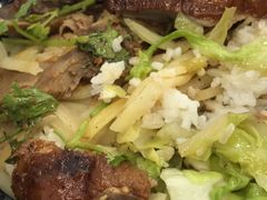 -老凌记广东烧鹅饭(宝利金店)