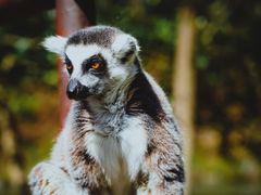 -杭州野生动物世界