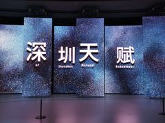 -深圳市当代艺术与城市规划馆