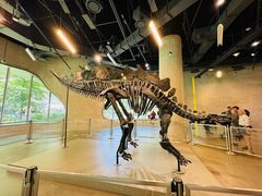 -美国自然历史博物馆