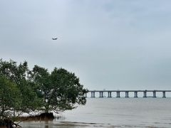 -宝安西湾红树林湿地公园