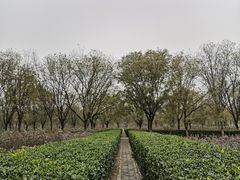 -汉景帝阳陵博物院