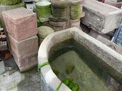 -安仁古镇