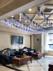 -碧莲盛·不剃发植发