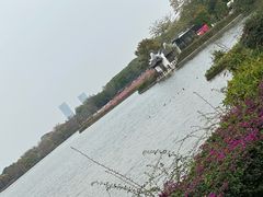 -海珠湖公园