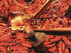 -骉骉老火锅(水杉街店)