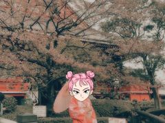 -东京浅草和服体验江户和装工房雅(浅草本店)