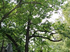 -兴福老面馆(寺路街店)