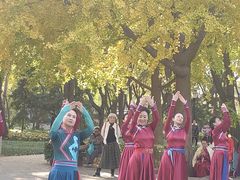 -玲珑塔公园