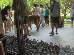 -南宁荔园维景国际酒店·荔园中餐厅