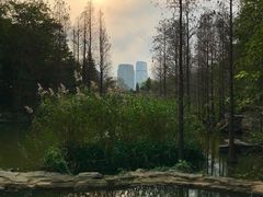 -云溪植物园