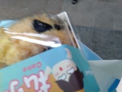 -蒲公英(五里店)