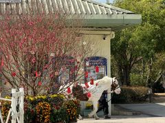 -香港赛马会双鱼河会所