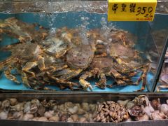 -蛇口市场