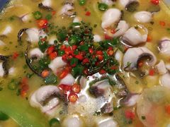 藤椒水煮鱼-成都娃娃花园餐厅 (南艺旗舰店)