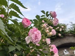 -T80科技文化国际社区-停车场