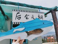 -东极岛景区