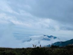 -白草畔自然风景区