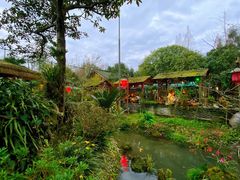 -青城甲(青城山店)