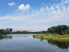 -四川大学(江安校区)