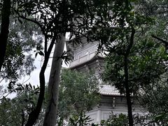 -深圳国际园林花卉博览园