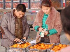 -东方鼎信农副产品交易中心