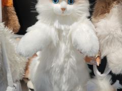 -校园传说(槐房万达广场店)