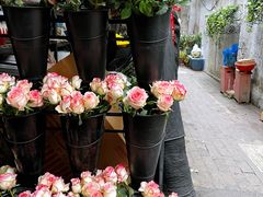 -循礼门鲜花花市(武汉循礼门店)