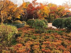 -八大关景区