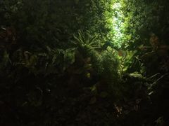 -康道天地(九六广场店)