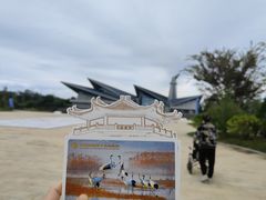 -盐城丹顶鹤湿地生态旅游区