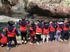 -东方剑桥幼儿园