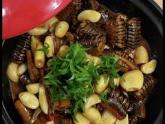 -天目馨缘