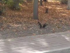 -吉林大学(前卫南区)
