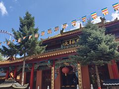-哈尔滨极乐寺