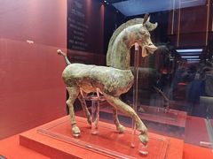 -云南省博物馆