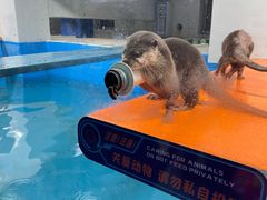 -大连圣亚海洋世界