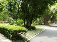 -晓港公园