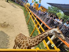 -西霞口神雕山野生动物世界