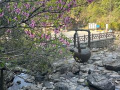 -东海大峡谷