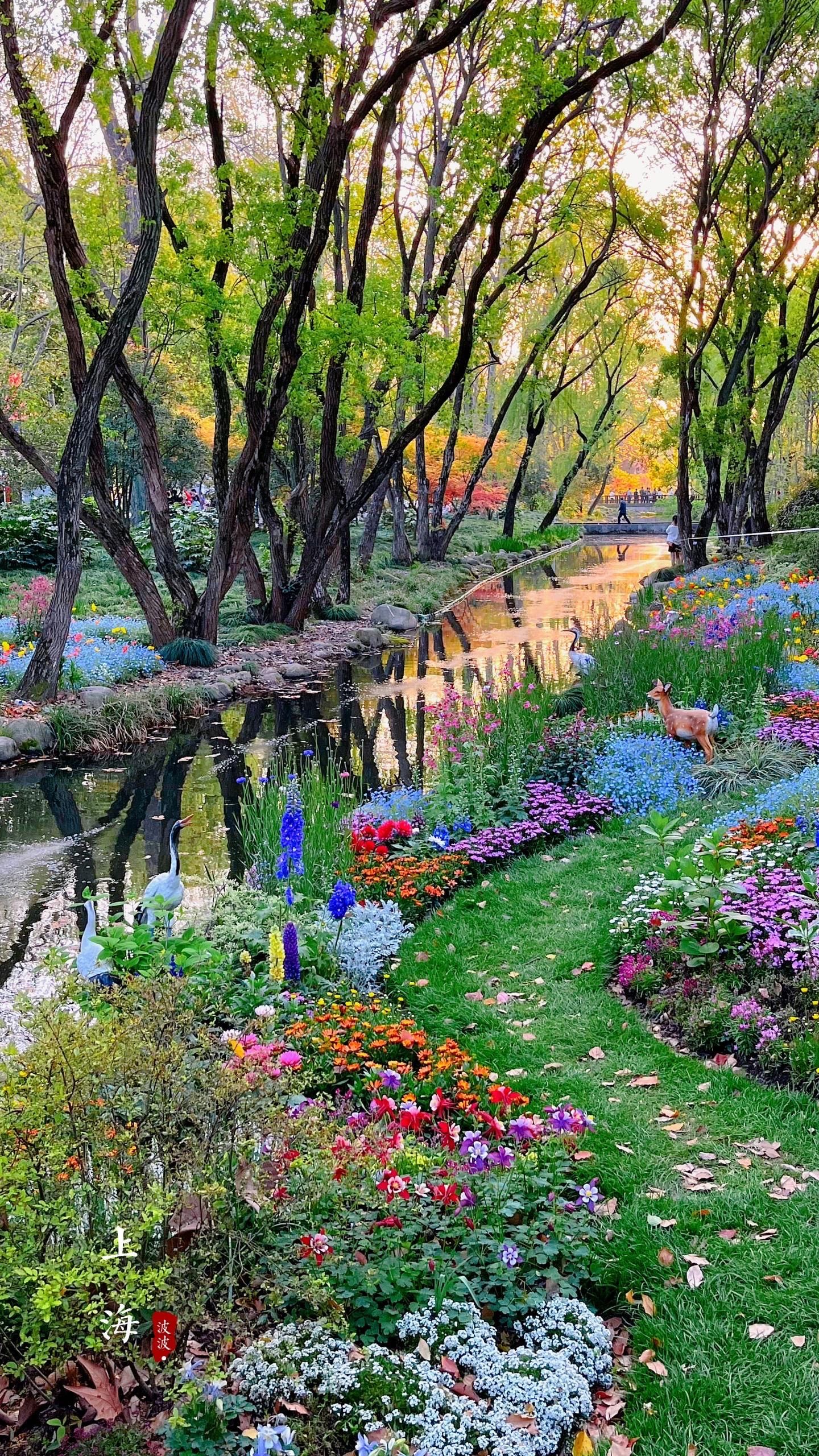 现实版莫奈花园 共青森林公园美的像幅油画