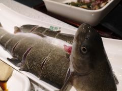 雅鱼-胖师鱼馆非遗砂锅雅鱼(大北街店)