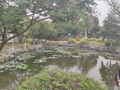 -厦门园林博览苑