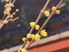 -北京植物园-展览温室