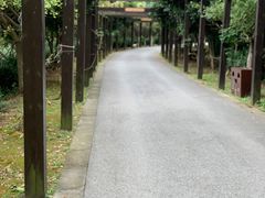 -九龙潭景区