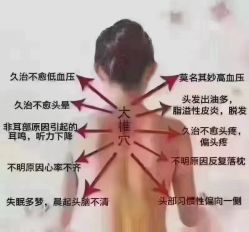 -香薇妮丝·定制减肥·身材管理