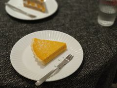 -猫里有甜