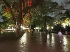 -荔湾湖公园