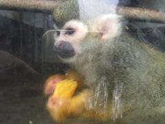 -西安秦岭野生动物园