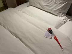 -张掖华辰国际大酒店